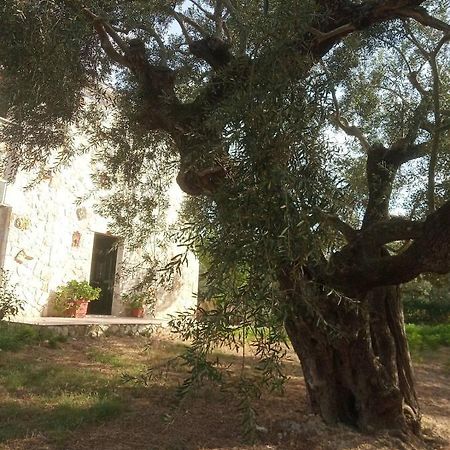Olive Trees Tragaki Exterior foto