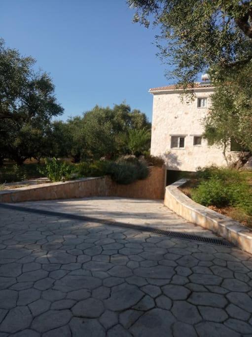 Olive Trees Tragaki Exterior foto